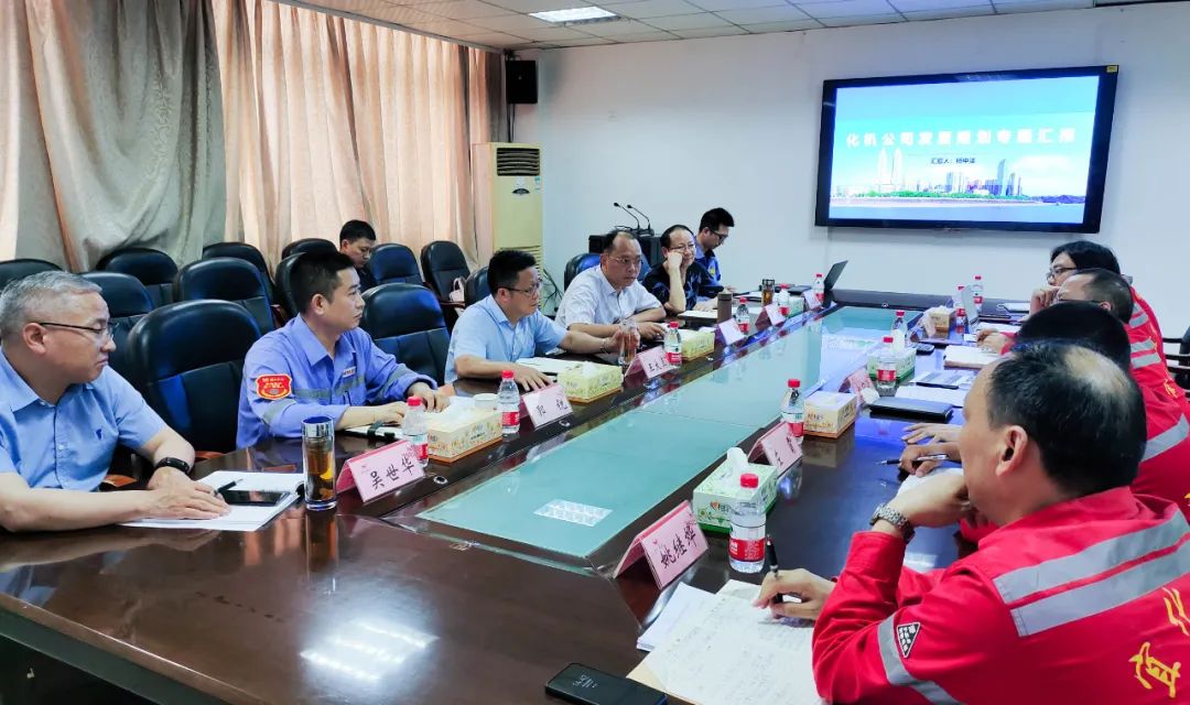 王大真一行到股份公司、化机公司现场办公