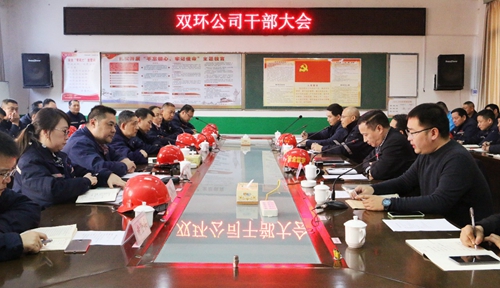 王大真到双环公司现场调研并组织召开干部大会(图2)