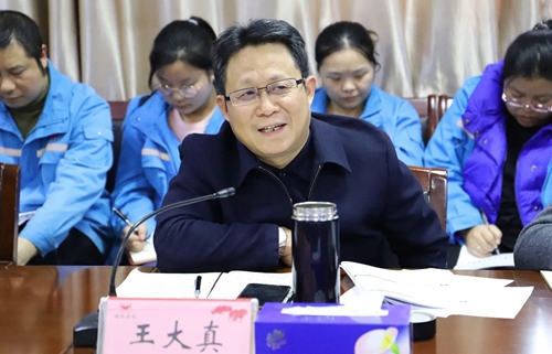 王大真到松滋肥业和楚星公司调研指导明年预算工作(图4)
