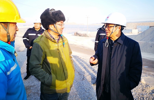 王大真到内蒙宜化调研指导(图1)