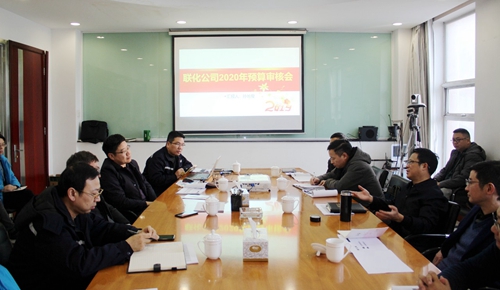 王大真到联化公司调研指导(图1)