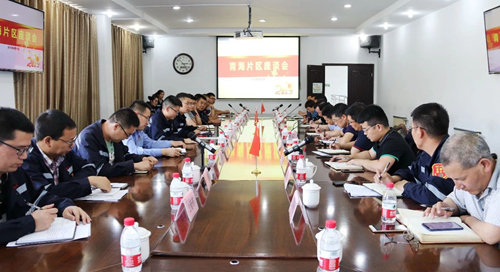 王大真到青海片区现场办公(图3)