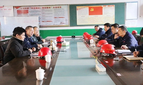 张忠华到双环公司现场调研(图2)