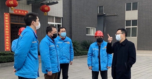 王大真到楚星公司和松滋肥业现场检查疫情防控及安全生产情况(图2)