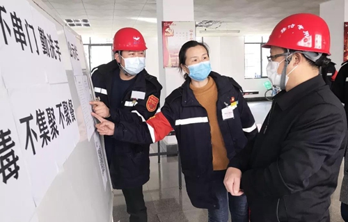王大真到股份公司检查疫情防控及安全生产情况(图3)
