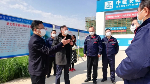 王大真到TMP、TPO项目及股份公司技改现场检查工作(图1)