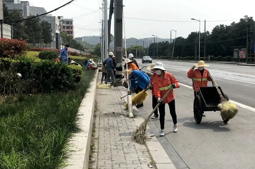 爱国卫生月 我们在行动(图2)