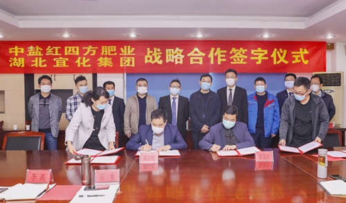 宜化集团与中盐红四方肥业签订战略合作协议(图1)
