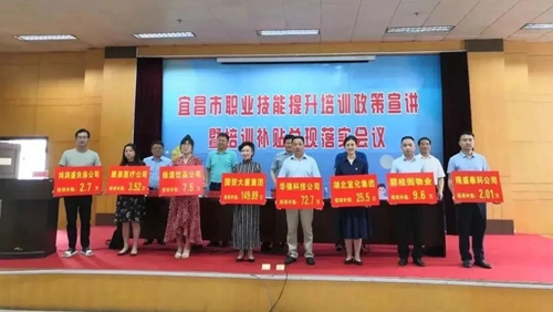 宜化积极开展线上培训 获得宜昌市首批培训补贴(图1)