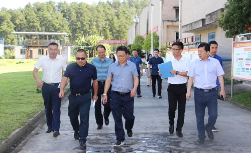 王大真带队到金沙酒业现场办公(图1)
