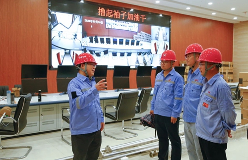 王大真在TMP项目现场强调：加紧推进工程建设 扎实做好开车准备(图1)