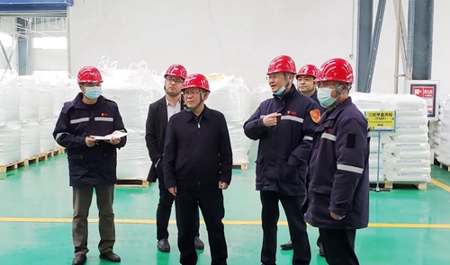 王大真在股份公司一线向全集团广大干部职工拜年(图12)