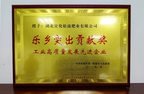 松滋肥业荣获“乐乡突出贡献奖”(图2)