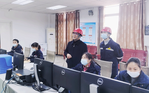 王大真到股份公司现场调研(图1)