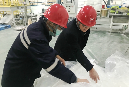 王大真到新材料公司、TPO项目现场和股份公司检查工作(图1)