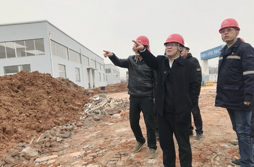 王大真到新材料公司、TPO项目现场和股份公司检查工作(图2)