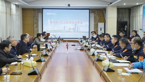 王大真到新材料公司、TPO项目现场和股份公司检查工作(图3)