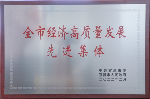 宜化集团荣获“宜昌市经济高质量发展先进集体”称号(图2)