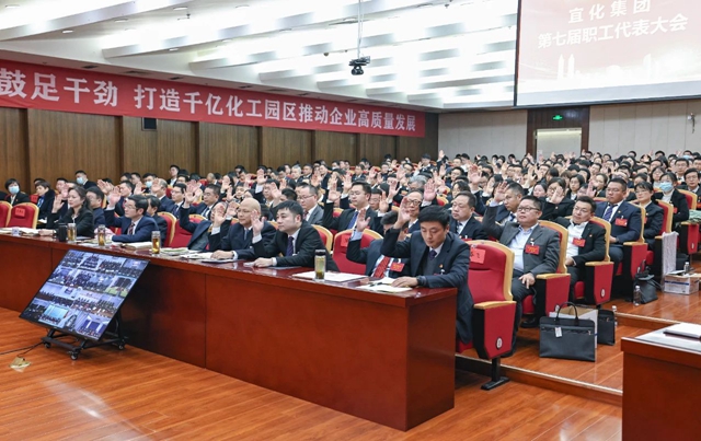 王大真总结讲话 宜化集团2022年度总结表彰暨第七届职工代表大会胜利闭幕(图7)