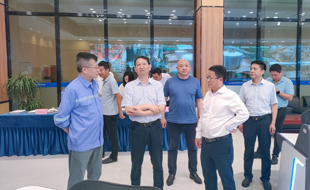 宋文豹一行到田家河氨醇项目和降解新材料公司现场调研(图2)