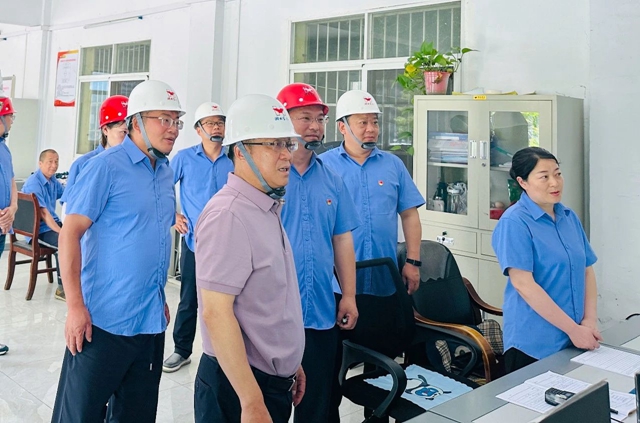 王大真一行到矿业公司现场办公(图1)