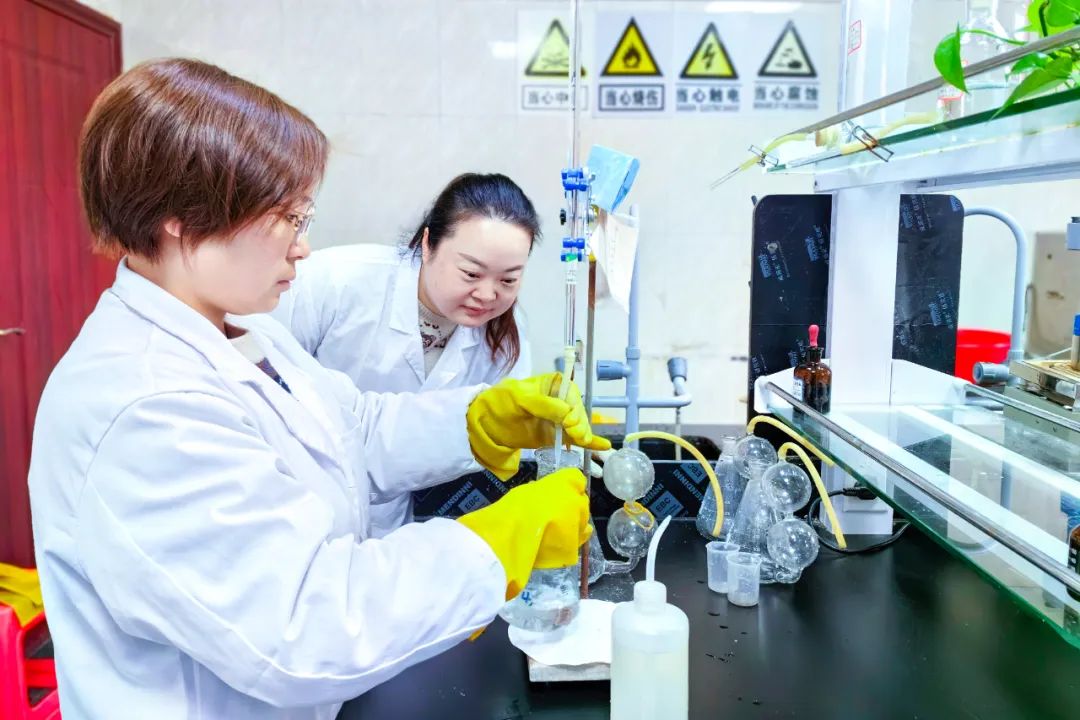 【宜化榜样】股份公司黄冬燕：立足分析岗位，争当技术能手(图5)
