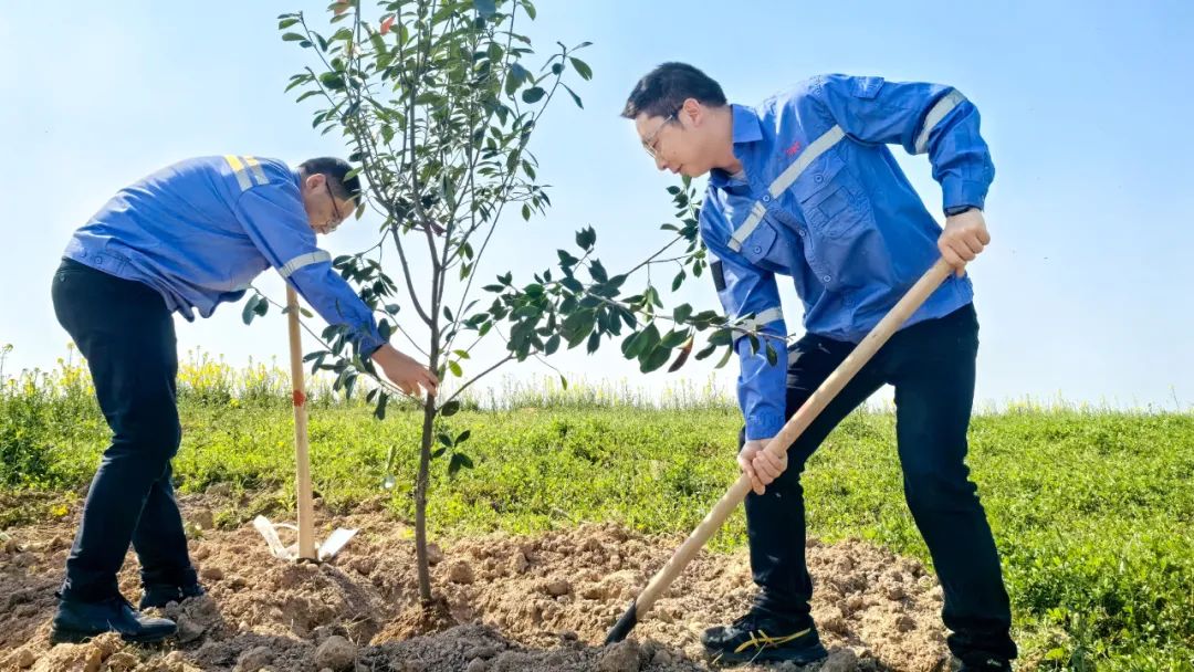 “植”此青绿共“树”未来！集团各公司开展植树活动(图15)