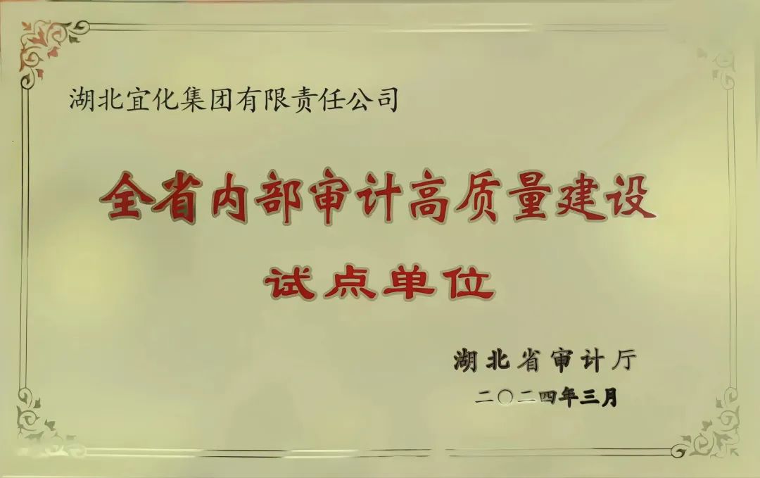 宜化集团获评全省内部审计高质量建设试点单位(图2)