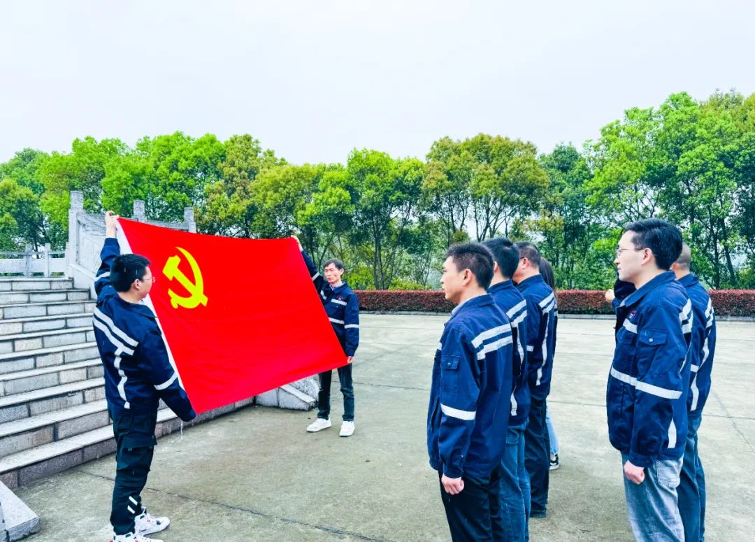 在缅怀中汲取奋进力量！这场主题党日活动“走心”更“入心”！(图3)