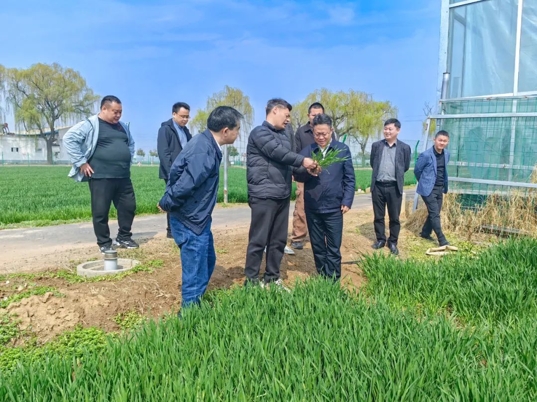 王大真走访调研河南销售市场(图2)