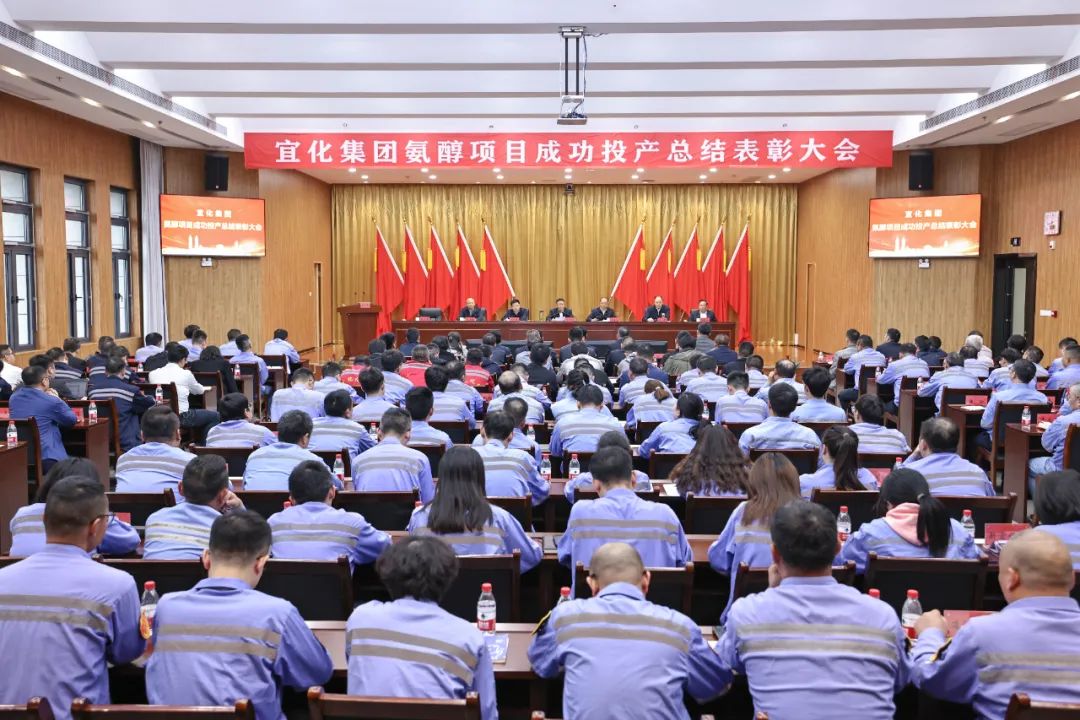 宜化集团召开氨醇项目成功投产总结表彰大会(图2)