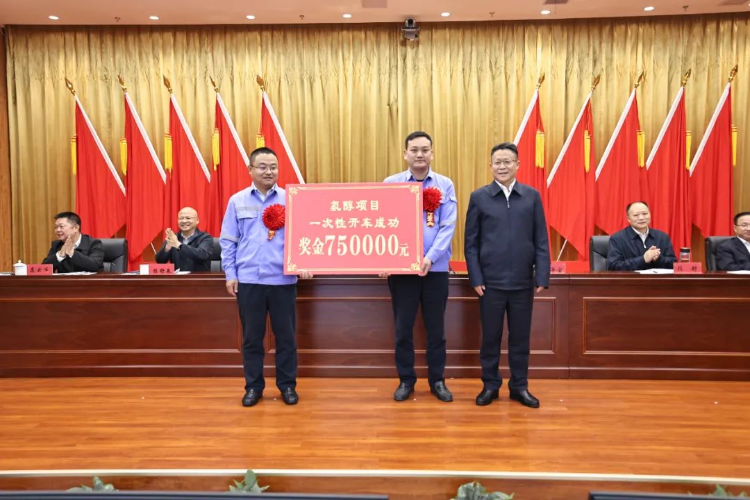 宜化集团召开氨醇项目成功投产总结表彰大会(图3)