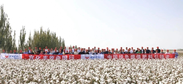 宜化丰收中国行！新疆棉花大型测产观摩会成功举行