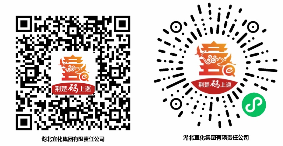 巡察公告(图1)
