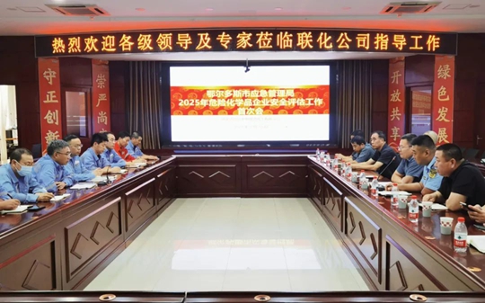 联化公司顺利通过2025年安全评估(图1)