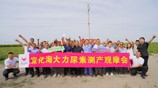 宜化海大力尿素示范田测产观摩会成功举办(图1)