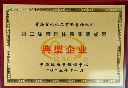 青海宜化获评 “第三届管理体系实践成果典型企业”