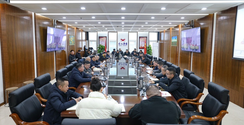 集团召开2025年度安委会环委会工作总结会(图1)