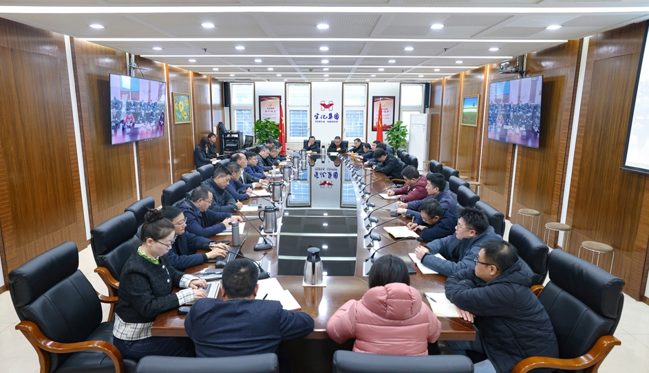 集团召开安全生产专题调度会(图1)