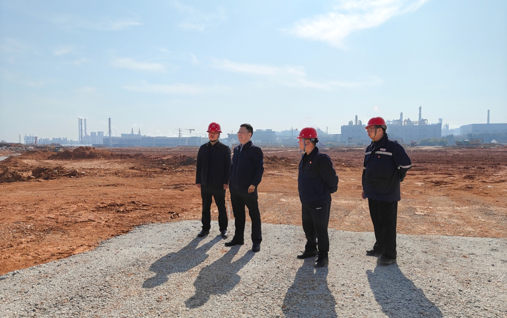 王大真到宜昌区域分子公司检查安全生产工作(图1)