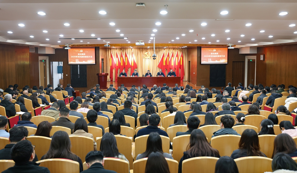 宜化集团召开2026年党风廉政建设大会(图1)