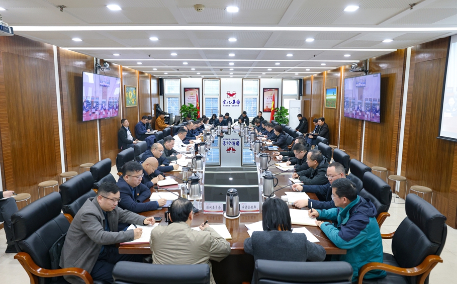 集团党委传达学习全国两会精神 研究部署贯彻落实工作(图1)