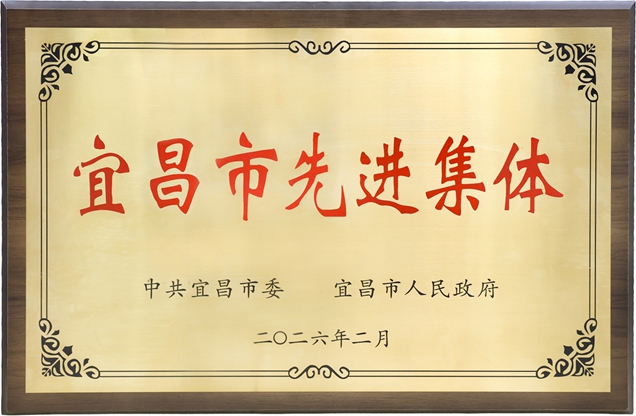 宜化集团获评宜昌市先进集体