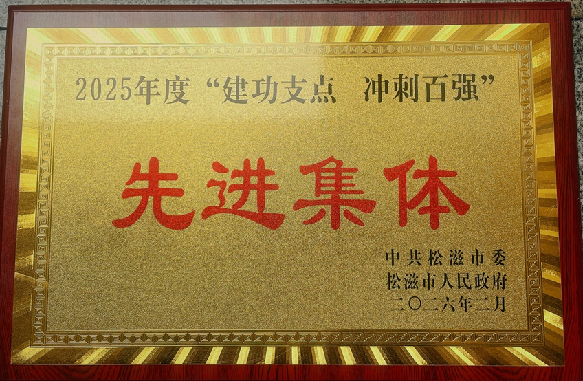松滋肥业获评松滋市2025年度“建功支点 冲刺百强”先进集体称号(图1)