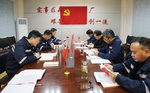 周金平列席指导矿业公司党委“不忘初心、牢记使命”专题民主生活会