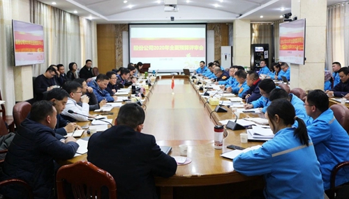 王大真调研指导股份公司、化机公司和TMP新项目2020年财务预算工作