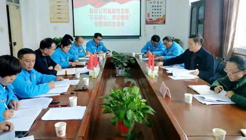 向宇飞列席指导股份公司氯碱党支部“不忘初心、牢记使命”专题组织生活会