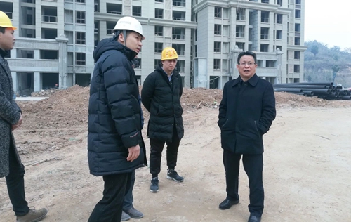 王大真到置业公司现场调研