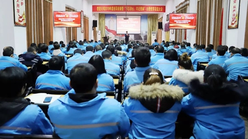 彭向华参加楚星公司2019年度述职述廉暨主题教育总结大会