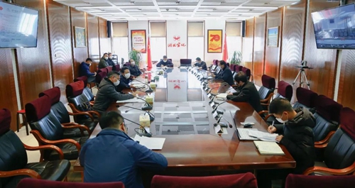 集团召开专业技术委员会工作专题会